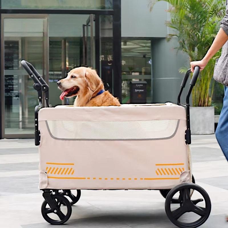 Chariot pour chien