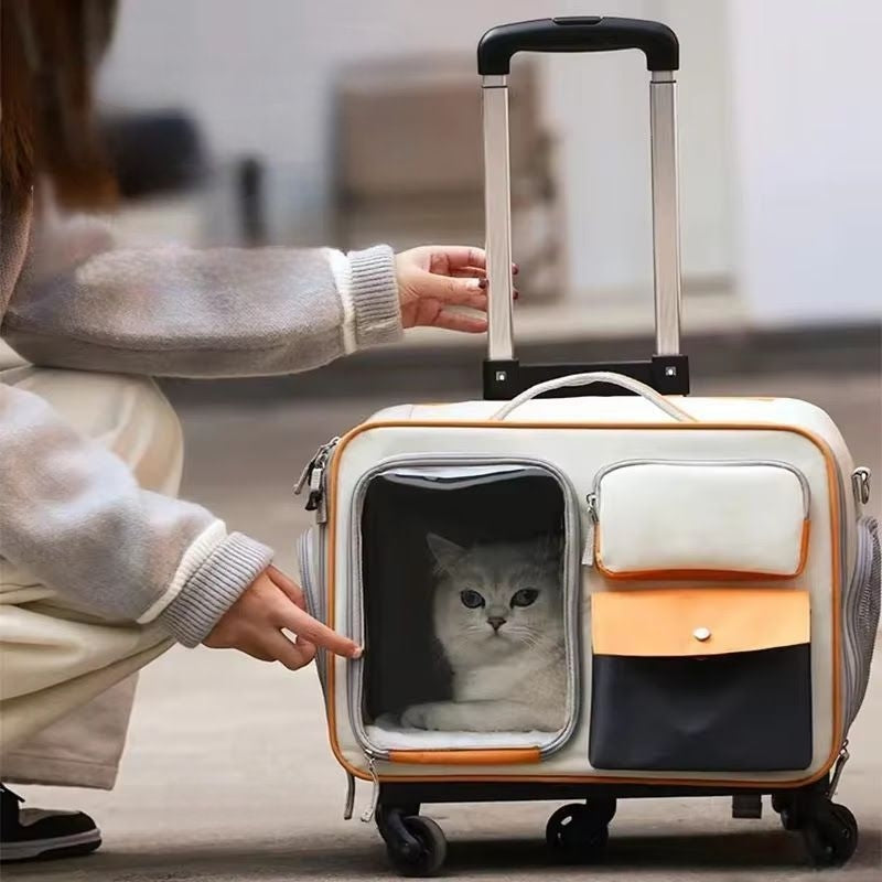 Découvrez le sac à dos pour animaux de compagnie ultime pour vos voyages avec votre compagnon à quatre pattes. Sac à dos pour animaux de compagnie, sac de transport pour chien, sac à dos pour chat, sac de voyage pour animaux, sac ergonomique pour animaux, sac à dos ventilé pour animaux, sac de promenade pour chien, sac à dos confortable pour animaux, sac de randonnée pour animaux, sac à dos sécurisé pour animaux.