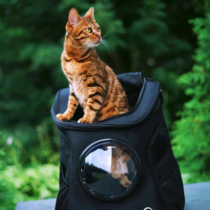 Découvrez notre sac à dos capsule spatiale pour animaux de compagnie, le compagnon idéal pour les aventures avec votre animal préféré. Sac à dos capsule spatiale, sac à dos pour animaux, sac à dos pour chien, sac à dos pour chat, sac à dos pour petit animal, sac à dos transparent, sac à dos panoramique, sac à dos confortable, sac à dos sécurisé, sac à dos durable, sac à dos respirant, sac à dos pour randonnée, sac à dos pour voyage.