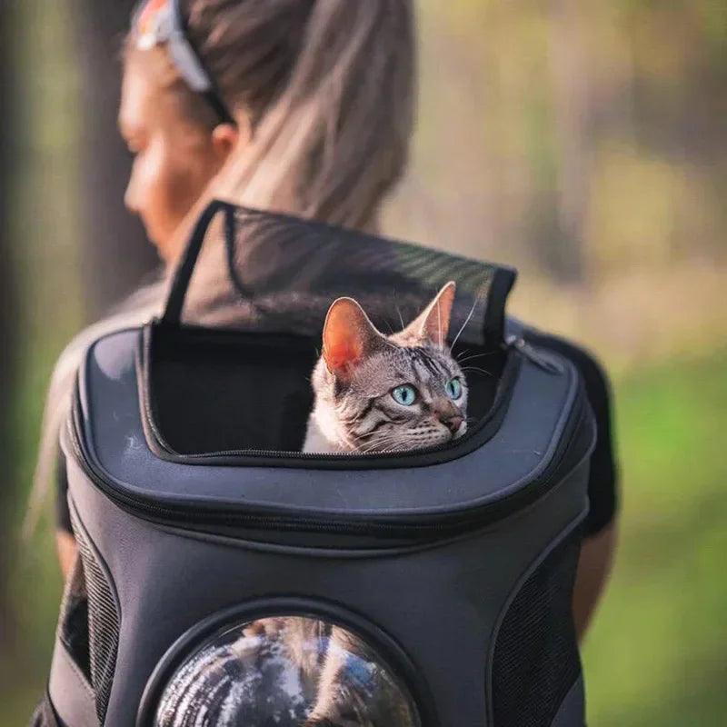 Découvrez notre sac à dos capsule spatiale pour animaux de compagnie, le compagnon idéal pour les aventures avec votre animal préféré. Sac à dos capsule spatiale, sac à dos pour animaux, sac à dos pour chien, sac à dos pour chat, sac à dos pour petit animal, sac à dos transparent, sac à dos panoramique, sac à dos confortable, sac à dos sécurisé, sac à dos durable, sac à dos respirant, sac à dos pour randonnée, sac à dos pour voyage.