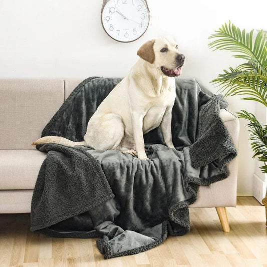 Protégez vos meubles et offrez un confort optimal à vos animaux de compagnie avec notre couverture imperméable spécialement conçue pour chiens et chats. Couverture imperméable pour animaux de compagnie, couverture pour chien, couverture pour chat, couverture imperméable, couverture protectrice, couverture pour canapé.