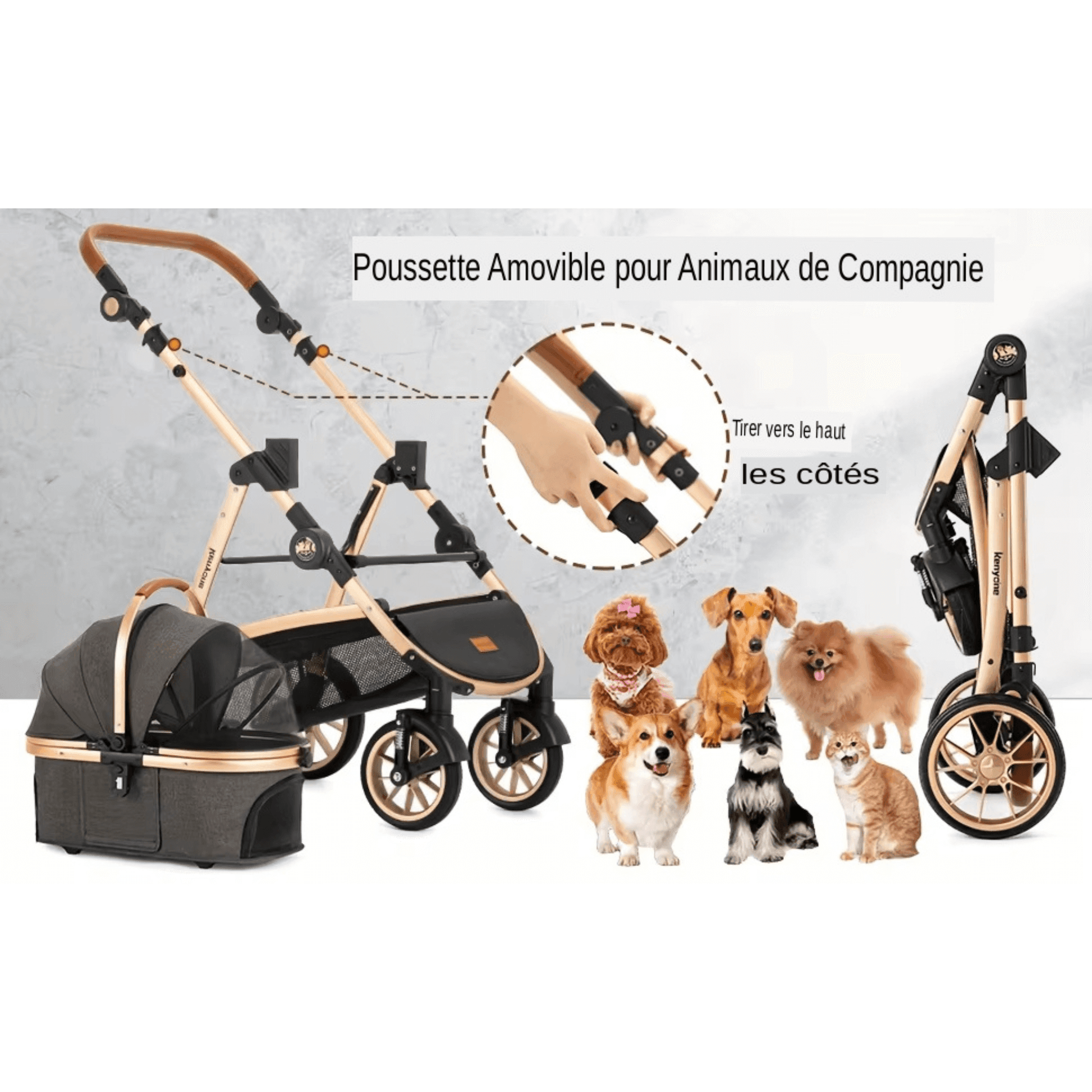 Découvrez la poussette 3 en 1 pour animaux de compagnie, l'accessoire idéal pour les propriétaires de chiens et de chats. Poussette 3 en 1 pour animaux de compagnie, poussette pour chien, poussette pour chat, accessoire pour animaux, promenade avec chien, voyage avec animal, sortie en ville avec animal.