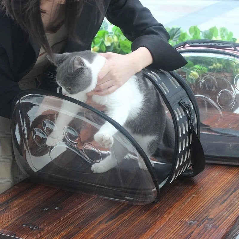 Découvrez notre sac à dos transparent pliable pour animaux de compagnie, idéal pour les voyages et les sorties avec votre chat ou petit chien. Sac à dos pour animaux, sac à dos transparent, sac à dos pliable, sac à dos pour chat, sac à dos pour chien, sac à dos pour animaux de compagnie, sac à dos pour voyages, sac à dos pour randonnées, sac à dos pour avion, sac à dos pour vétérinaire, sac à dos confortable, sac à dos sécurisé, sac à dos léger.