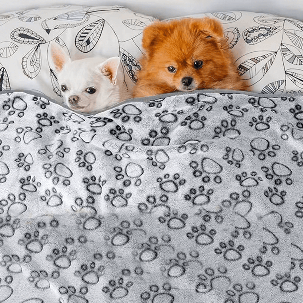 Offrez à votre animal de compagnie un confort douillet et élégant avec notre couverture moelleuse pour animaux de compagnie. Couverture pour animaux de compagnie, couverture pour chien, couverture pour chat, couverture moelleuse, couverture polaire, couverture douce, couverture confortable, couverture chaleur, couverture design, couverture élégante.