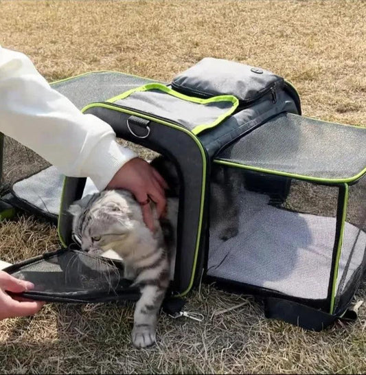 Découvrez notre sac de voyage extensible pour animaux de compagnie, le compagnon idéal pour les voyages avec votre animal préféré. Sac de voyage extensible, sac de voyage pour animaux, sac de voyage pour chien, sac de voyage pour chat, sac de voyage pour petit animal, sac de voyage confortable, sac de voyage sécurisé, sac de voyage durable, sac de voyage respirant, sac de voyage pratique, sac de voyage élégant.