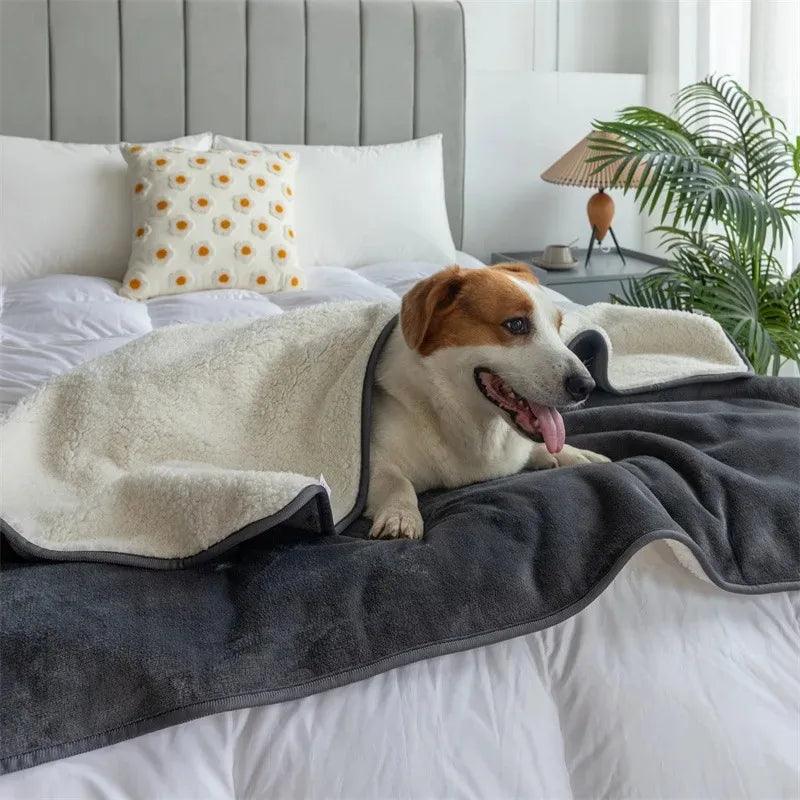 Découvrez notre couverture imperméable pour chiens et chats, idéale pour protéger vos meubles et sols des accidents et des poils d'animaux. Couverture imperméable pour chiens et chats, protection meubles animaux, couverture anti-poils, couverture pour animaux, couverture chien, couverture chat, couverture imperméable, protection sols animaux, couverture confortable chien, couverture durable chat, couverture facile à nettoyer.