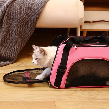 Découvrez notre sac de transport en maille respirante pour animaux de compagnie, conçu pour offrir confort et sécurité à votre compagnon à quatre pattes lors de vos déplacements. Sac de transport pour animaux, sac de transport pour chien, sac de transport pour chat, sac de transport en maille, sac de transport respirant, sac de transport pour animaux de compagnie, sac de transport pour chien petit, sac de transport pour chien moyen, sac de transport pour chien grand.