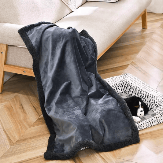 Offrez à vos animaux de compagnie le confort ultime tout en protégeant vos meubles avec notre couverture imperméable double couche. Couverture imperméable double couche pour animaux de compagnie, couverture imperméable pour chien, couverture imperméable pour chat, couverture double couche, couverture protectrice, couverture pour canapé, couverture pour lit, couverture pour voiture, couverture anti-poils.