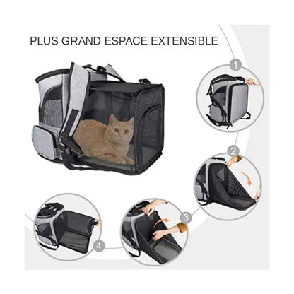 Découvrez notre sac à dos extensible pour animaux de compagnie, parfait pour transporter votre compagnon à quatre pattes en toute sécurité et confort. Sac à dos pour animaux, sac à dos pour chat, sac à dos pour chien, sac à dos extensible, sac à dos pour animaux de compagnie, sac à dos pour chat petit, sac à dos pour chat moyen, sac à dos pour chien petit, sac à dos pour chien moyen, sac à dos pour animaux de compagnie confortable.