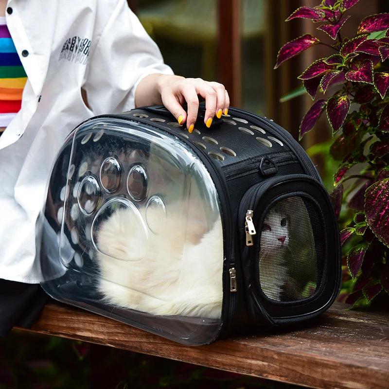 Découvrez notre sac à dos transparent pliable pour animaux de compagnie, idéal pour les voyages et les sorties avec votre chat ou petit chien. Sac à dos pour animaux, sac à dos transparent, sac à dos pliable, sac à dos pour chat, sac à dos pour chien, sac à dos pour animaux de compagnie, sac à dos pour voyages, sac à dos pour randonnées, sac à dos pour avion, sac à dos pour vétérinaire, sac à dos confortable, sac à dos sécurisé, sac à dos léger.