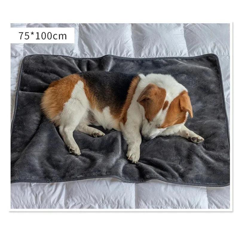 Découvrez notre couverture imperméable pour chiens et chats, idéale pour protéger vos meubles et sols des accidents et des poils d'animaux. Couverture imperméable pour chiens et chats, protection meubles animaux, couverture anti-poils, couverture pour animaux, couverture chien, couverture chat, couverture imperméable, protection sols animaux, couverture confortable chien, couverture durable chat, couverture facile à nettoyer.