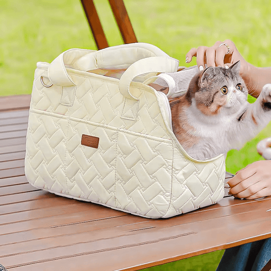 Découvrez notre sac à bandoulière pour animaux de compagnie, le compagnon idéal pour les sorties avec votre animal préféré. Sac à bandoulière pour animaux, sac à bandoulière pour chien, sac à bandoulière pour chat, sac à bandoulière pour petit animal, sac à bandoulière confortable, sac à bandoulière sécurisé, sac à bandoulière durable, sac à bandoulière élégant, sac à bandoulière pratique, sac à bandoulière pour randonnée.