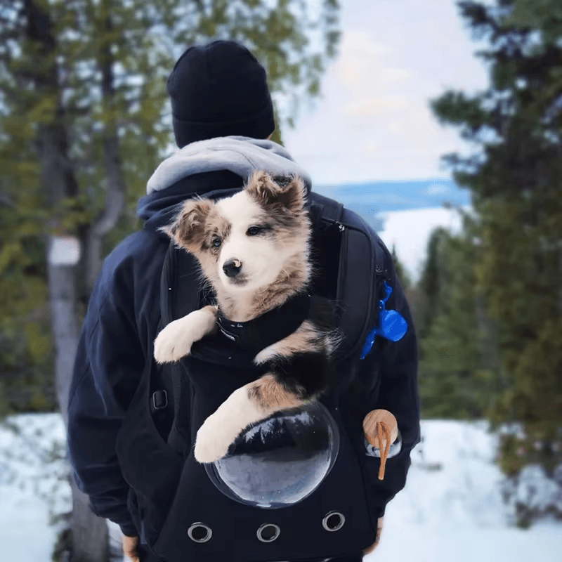 Découvrez notre sac à dos capsule spatiale pour animaux de compagnie, le compagnon idéal pour les aventures avec votre animal préféré. Sac à dos capsule spatiale, sac à dos pour animaux, sac à dos pour chien, sac à dos pour chat, sac à dos pour petit animal, sac à dos transparent, sac à dos panoramique, sac à dos confortable, sac à dos sécurisé, sac à dos durable, sac à dos respirant, sac à dos pour randonnée, sac à dos pour voyage.