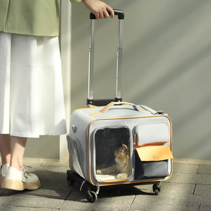 Découvrez le sac à dos pour animaux de compagnie ultime pour vos voyages avec votre compagnon à quatre pattes. Sac à dos pour animaux de compagnie, sac de transport pour chien, sac à dos pour chat, sac de voyage pour animaux, sac ergonomique pour animaux, sac à dos ventilé pour animaux, sac de promenade pour chien, sac à dos confortable pour animaux, sac de randonnée pour animaux, sac à dos sécurisé pour animaux.