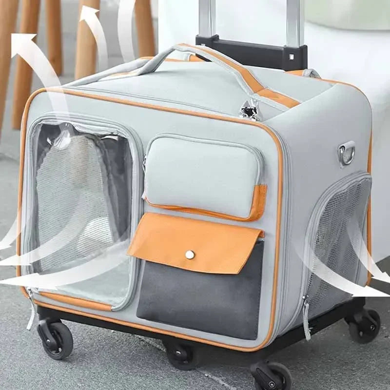 Découvrez le sac à dos pour animaux de compagnie ultime pour vos voyages avec votre compagnon à quatre pattes. Sac à dos pour animaux de compagnie, sac de transport pour chien, sac à dos pour chat, sac de voyage pour animaux, sac ergonomique pour animaux, sac à dos ventilé pour animaux, sac de promenade pour chien, sac à dos confortable pour animaux, sac de randonnée pour animaux, sac à dos sécurisé pour animaux.