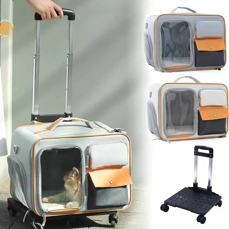 Découvrez le sac à dos pour animaux de compagnie ultime pour vos voyages avec votre compagnon à quatre pattes. Sac à dos pour animaux de compagnie, sac de transport pour chien, sac à dos pour chat, sac de voyage pour animaux, sac ergonomique pour animaux, sac à dos ventilé pour animaux, sac de promenade pour chien, sac à dos confortable pour animaux, sac de randonnée pour animaux, sac à dos sécurisé pour animaux.