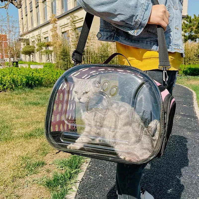 Découvrez notre sac à dos transparent pliable pour animaux de compagnie, idéal pour les voyages et les sorties avec votre chat ou petit chien. Sac à dos pour animaux, sac à dos transparent, sac à dos pliable, sac à dos pour chat, sac à dos pour chien, sac à dos pour animaux de compagnie, sac à dos pour voyages, sac à dos pour randonnées, sac à dos pour avion, sac à dos pour vétérinaire, sac à dos confortable, sac à dos sécurisé, sac à dos léger.