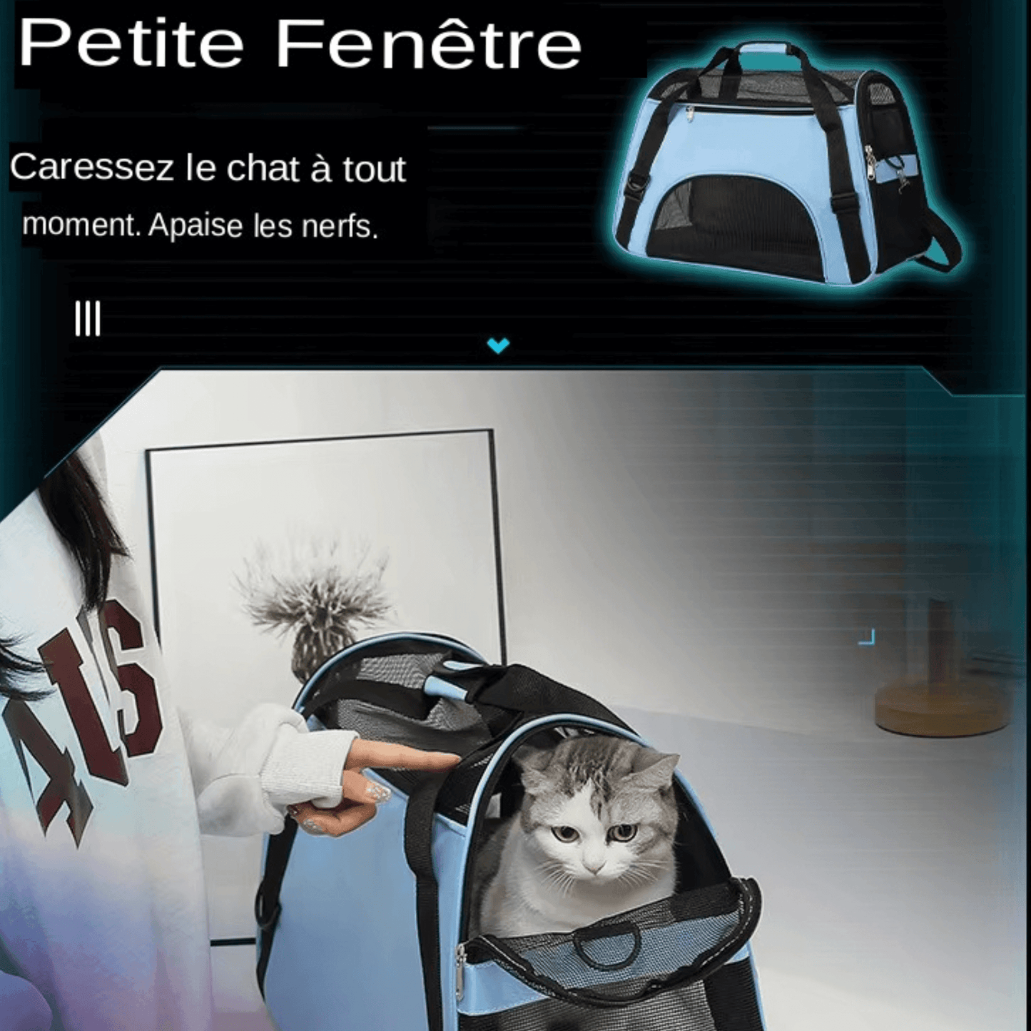 Découvrez notre sac de transport en maille respirante pour animaux de compagnie, conçu pour offrir confort et sécurité à votre compagnon à quatre pattes lors de vos déplacements. Sac de transport pour animaux, sac de transport pour chien, sac de transport pour chat, sac de transport en maille, sac de transport respirant, sac de transport pour animaux de compagnie, sac de transport pour chien petit, sac de transport pour chien moyen, sac de transport pour chien grand.