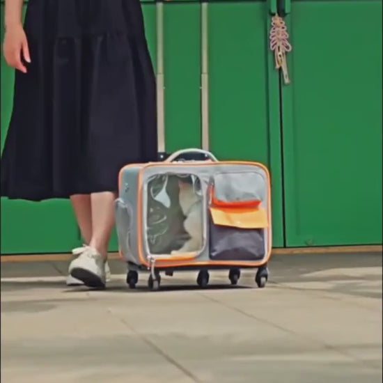 Découvrez le sac à dos pour animaux de compagnie ultime pour vos voyages avec votre compagnon à quatre pattes. Sac à dos pour animaux de compagnie, sac de transport pour chien, sac à dos pour chat, sac de voyage pour animaux, sac ergonomique pour animaux, sac à dos ventilé pour animaux, sac de promenade pour chien, sac à dos confortable pour animaux, sac de randonnée pour animaux, sac à dos sécurisé pour animaux.