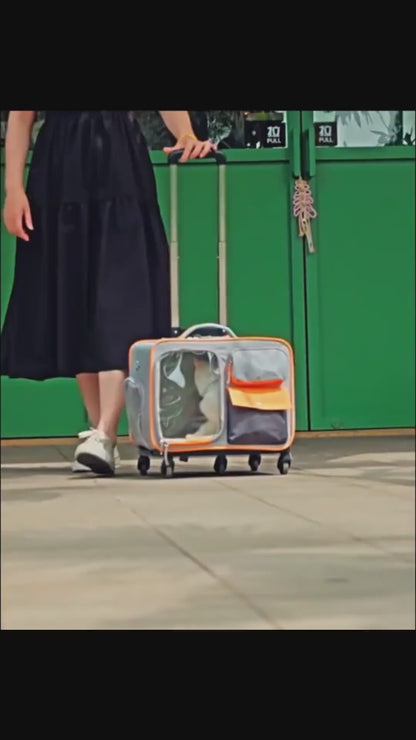 Découvrez le sac à dos pour animaux de compagnie ultime pour vos voyages avec votre compagnon à quatre pattes. Sac à dos pour animaux de compagnie, sac de transport pour chien, sac à dos pour chat, sac de voyage pour animaux, sac ergonomique pour animaux, sac à dos ventilé pour animaux, sac de promenade pour chien, sac à dos confortable pour animaux, sac de randonnée pour animaux, sac à dos sécurisé pour animaux.